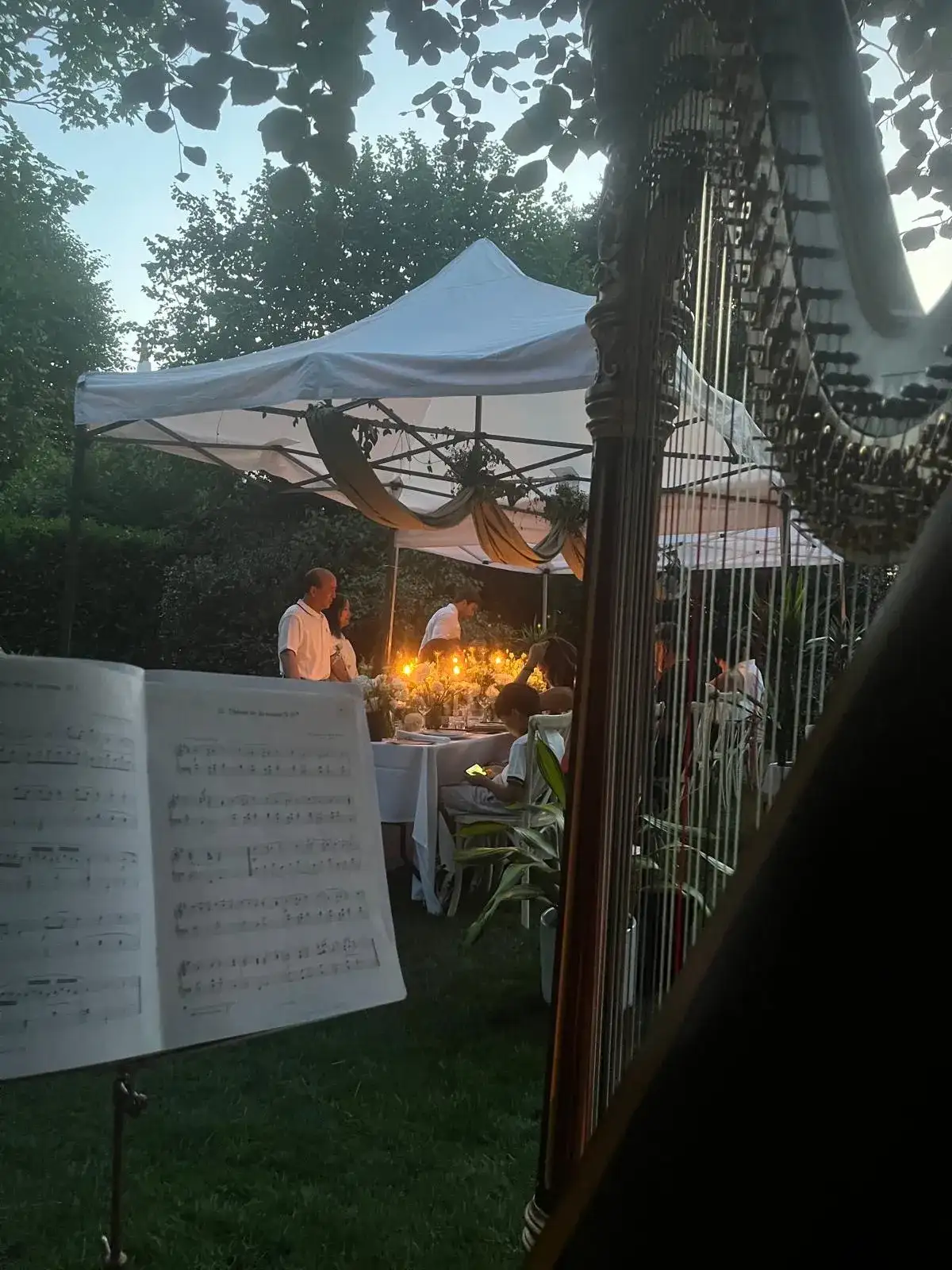 View from behind the harp of a candlelit outdoor dinner in a garden marquee at dusk